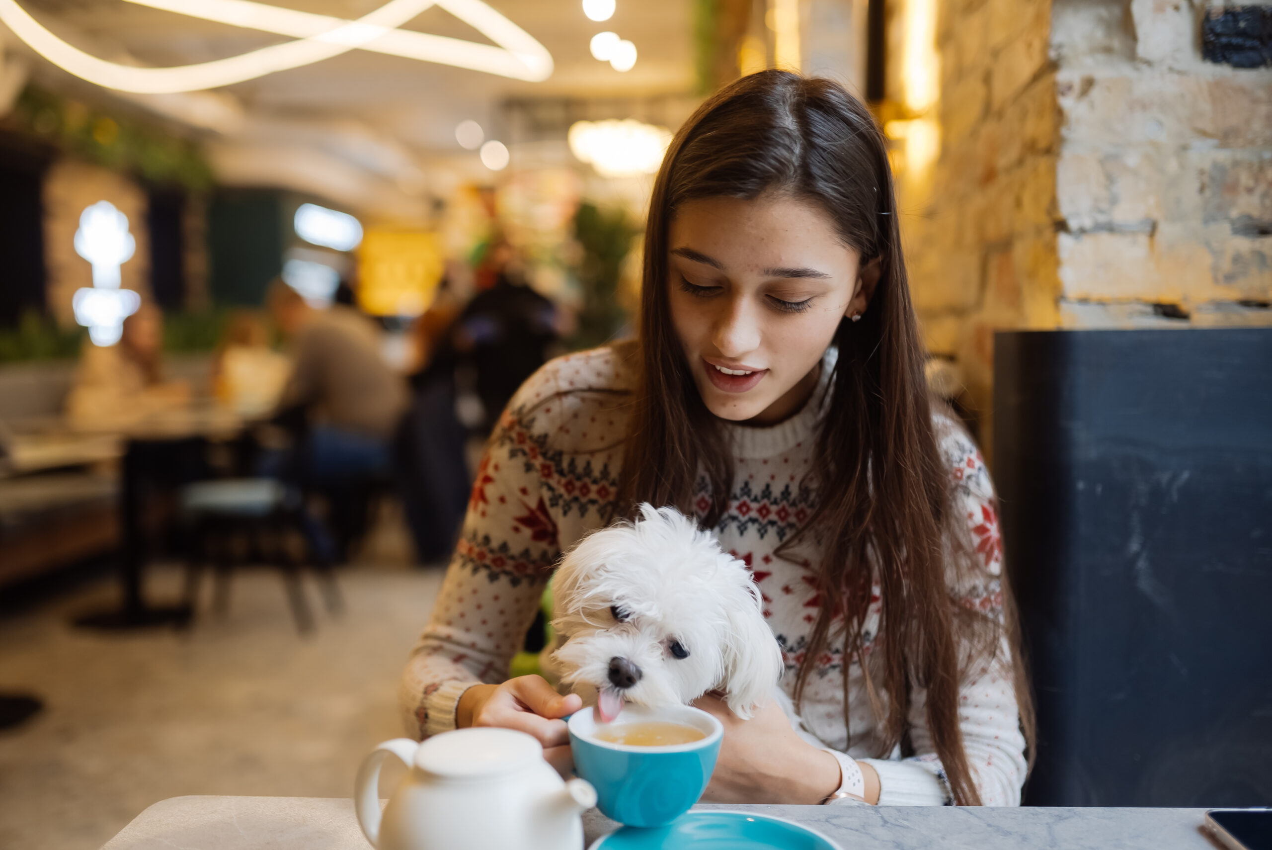 Dog Friendly Restaurants